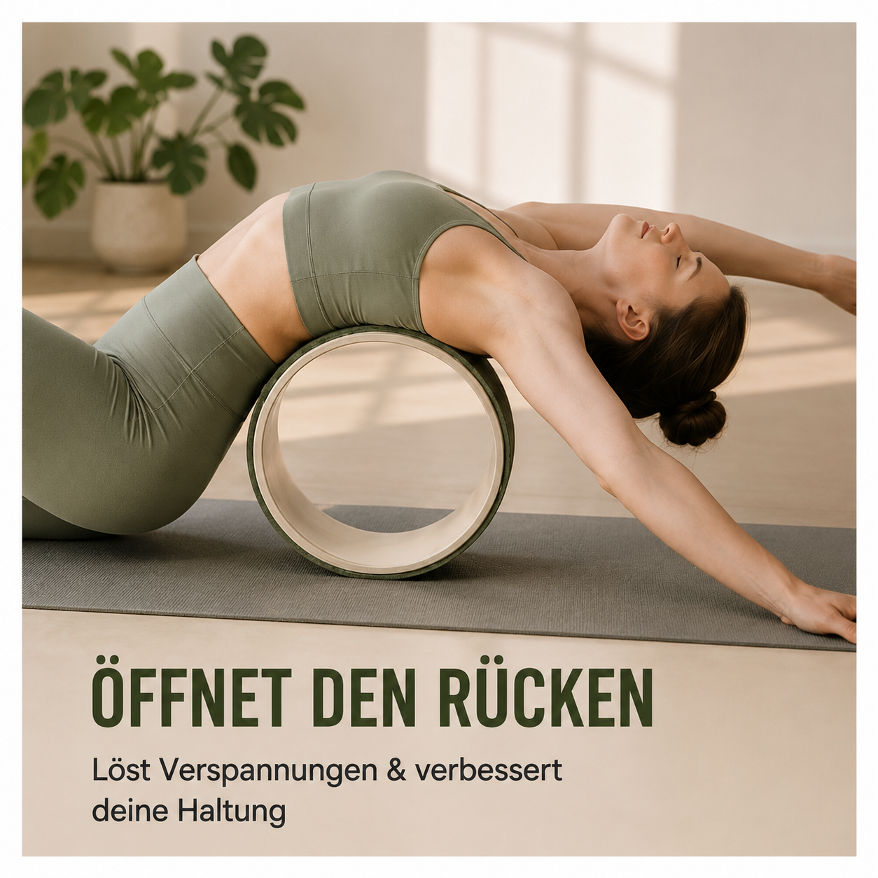 FitLuna Pilates-Rad, Ansicht 3